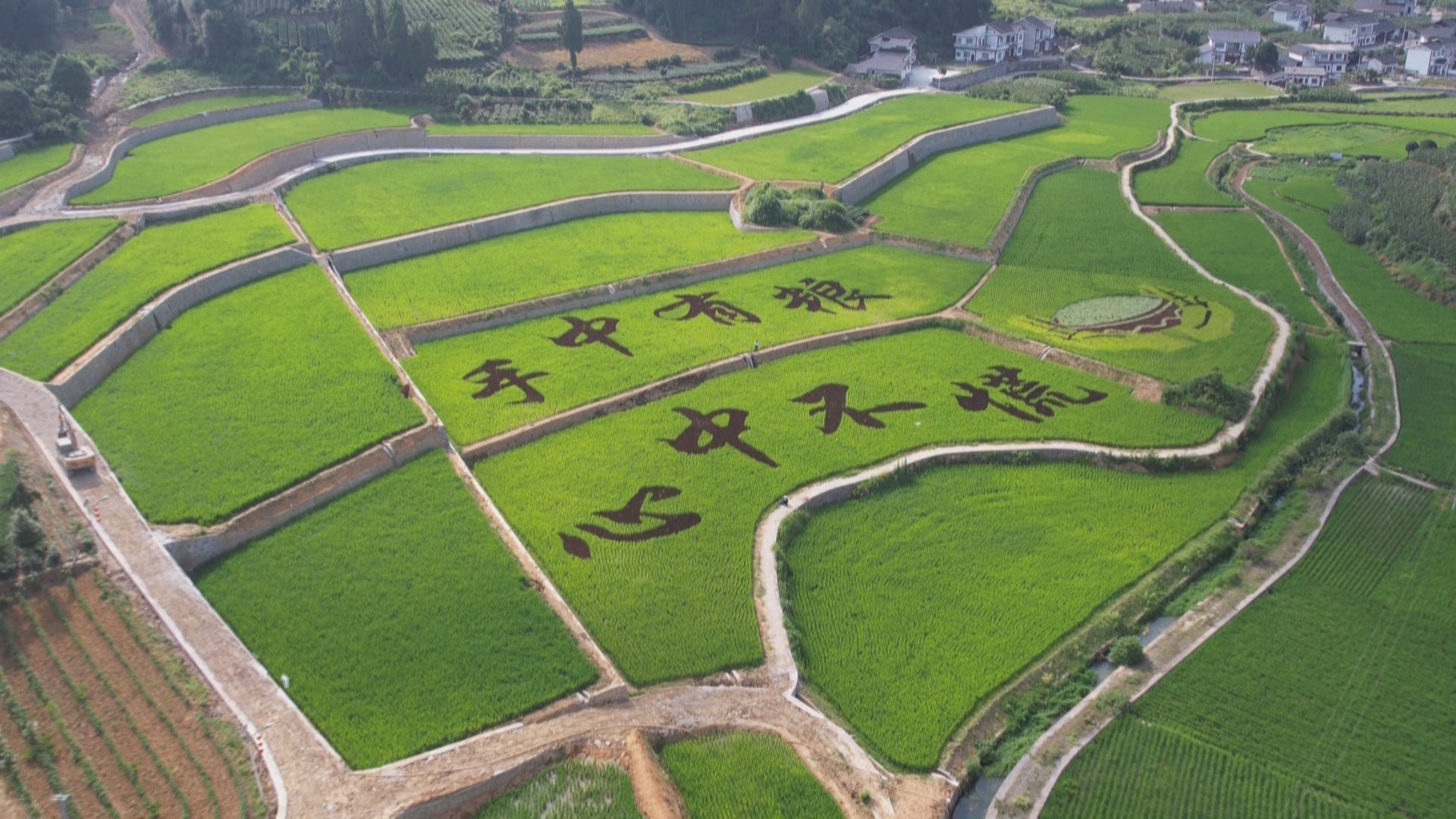 贵州新闻联播丨【半年经济观察】“四良融合”畜牧稳增 贵州上半年农牧总产值突破两千亿