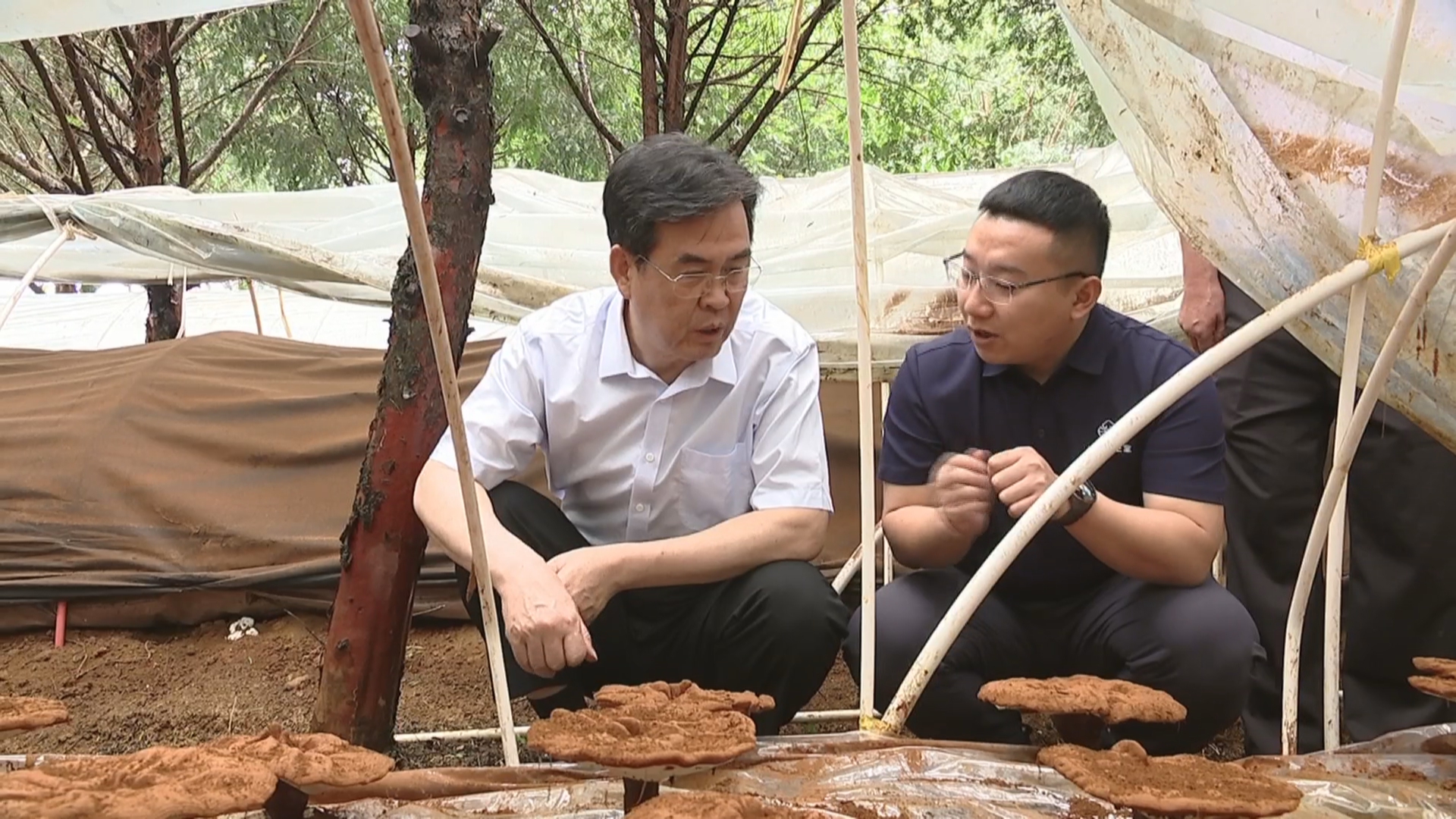 贵州新闻联播丨李炳军在黔西南州调研生态文明建设工作并开展巡河巡林时强调 做好绿水青山就是金山银山这篇大文章 更好以生态“含绿量”提升发展“含金量”