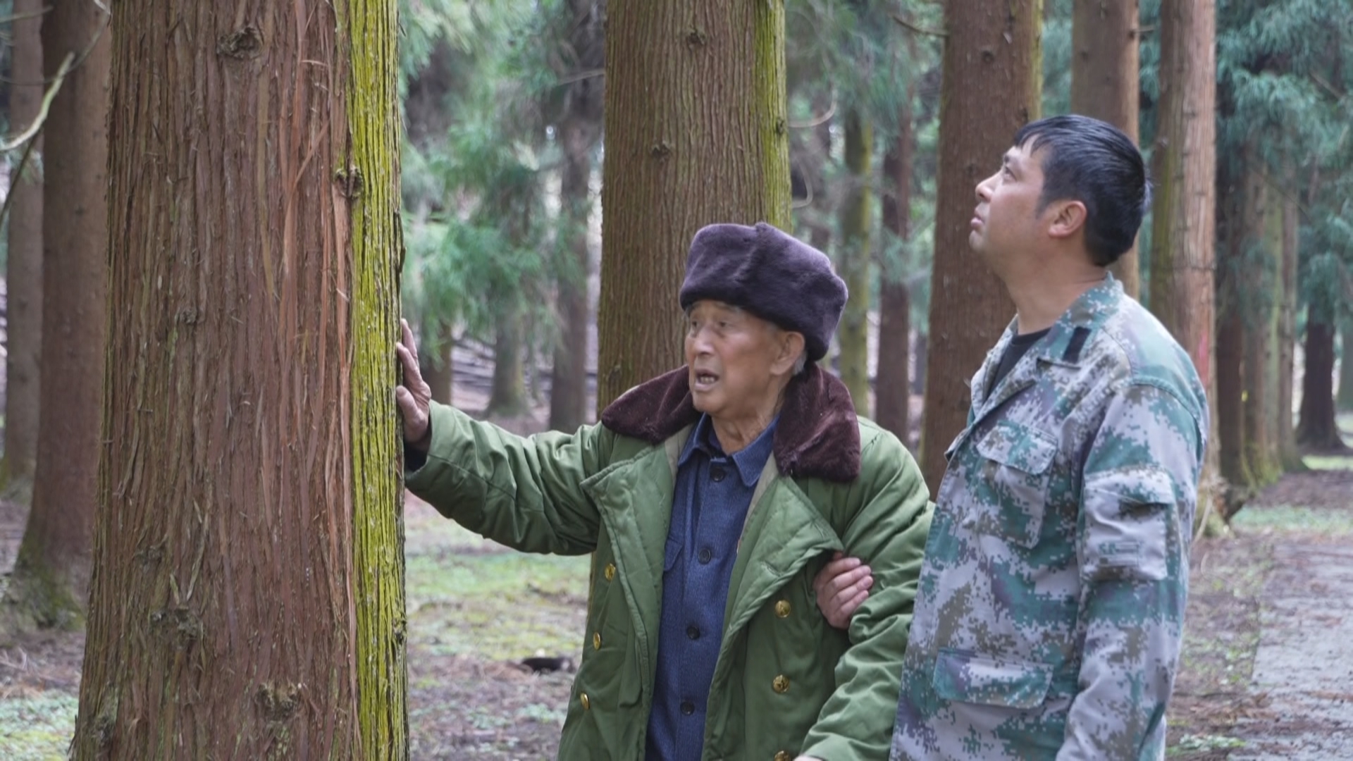 贵州新闻联播丨一座青山 两代诺言:“最美家庭”接力45年守护万亩林海