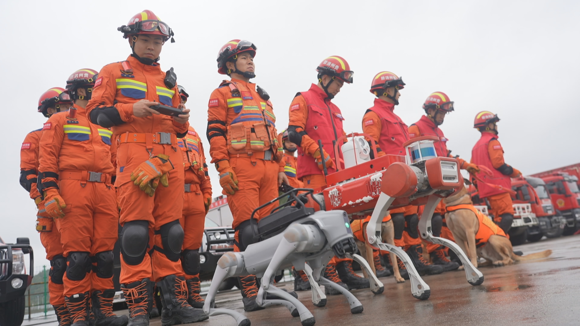 贵州新闻联播丨国家综合性消防救援队伍特种灾害救援力量建设工作会议在贵阳召开