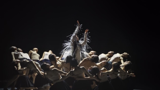 微信图片_20251113150131_82_1