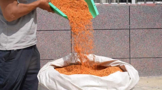 a2fc0df2402eeeb7063b3dc973e62ad9