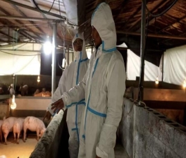 微信图片_20251124195632_44_461