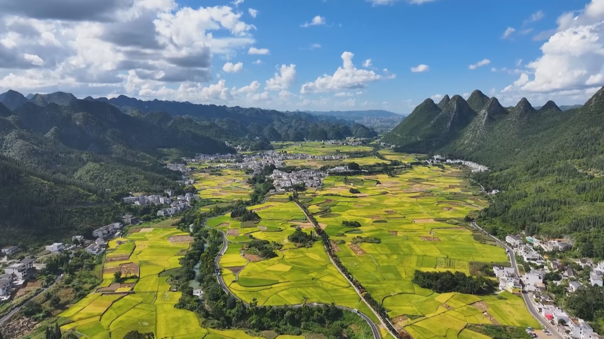 贵州新闻联播丨【学习贯彻党的二十届四中全会精神•奋力走出高质量发展新路】从"田间"到"车间"：勤廉底色书写贵州服务新篇