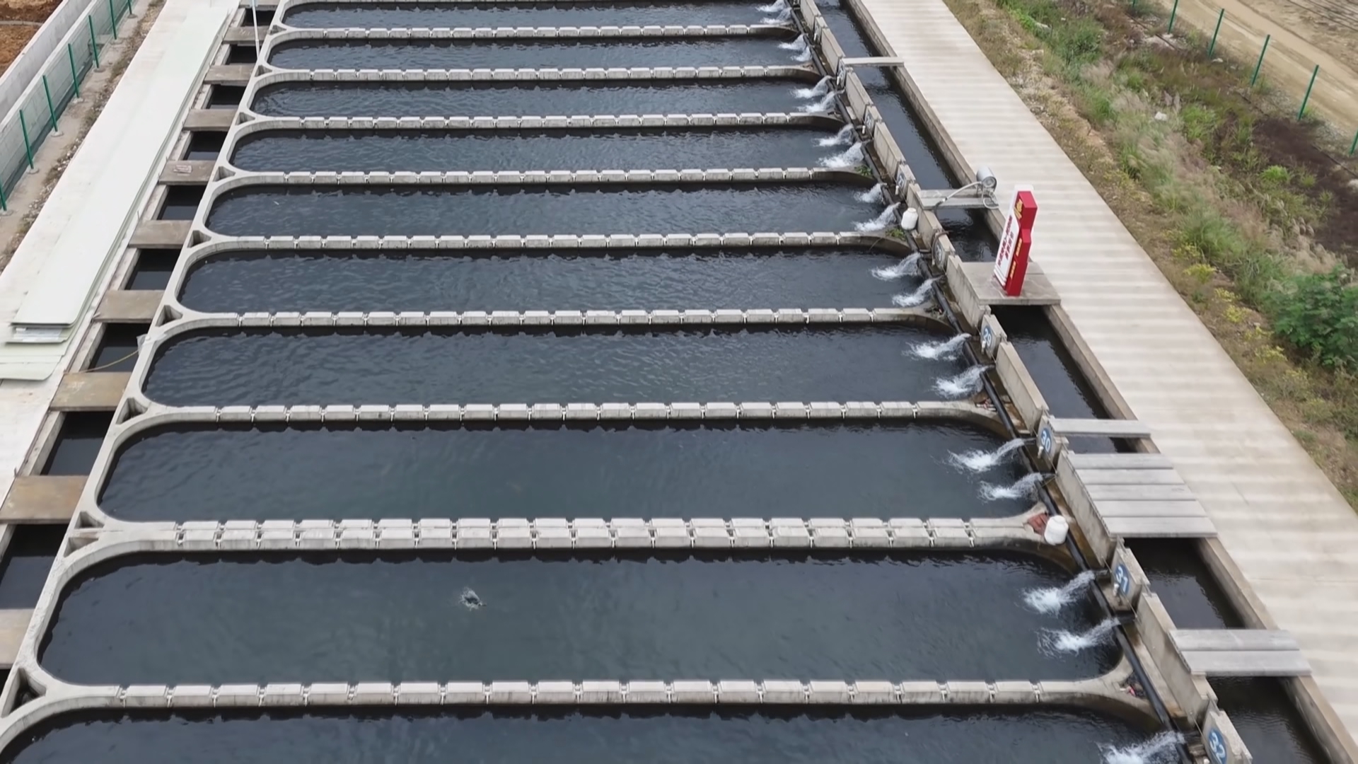 贵州新闻联播丨【强县富民调研行】发挥生态优势 用好科技助力 贵州深山养出优质三文鱼