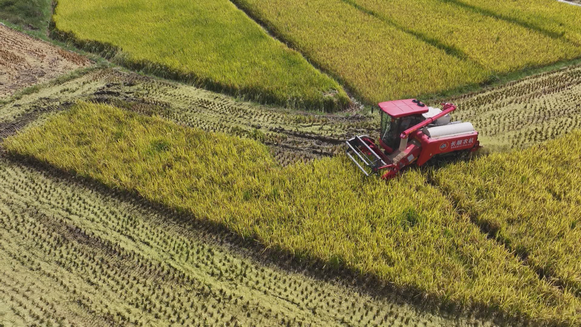 贵州新闻联播丨贵州已有农机服务组织超2000家 持续推动乡镇全覆盖
