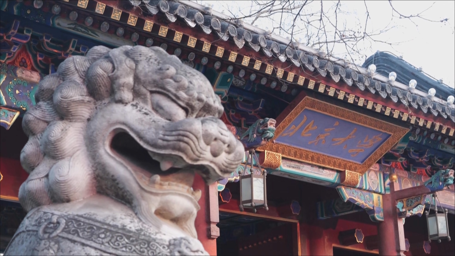 贵州新闻联播丨贵州诚意满满 赴北大清华“抢”人才