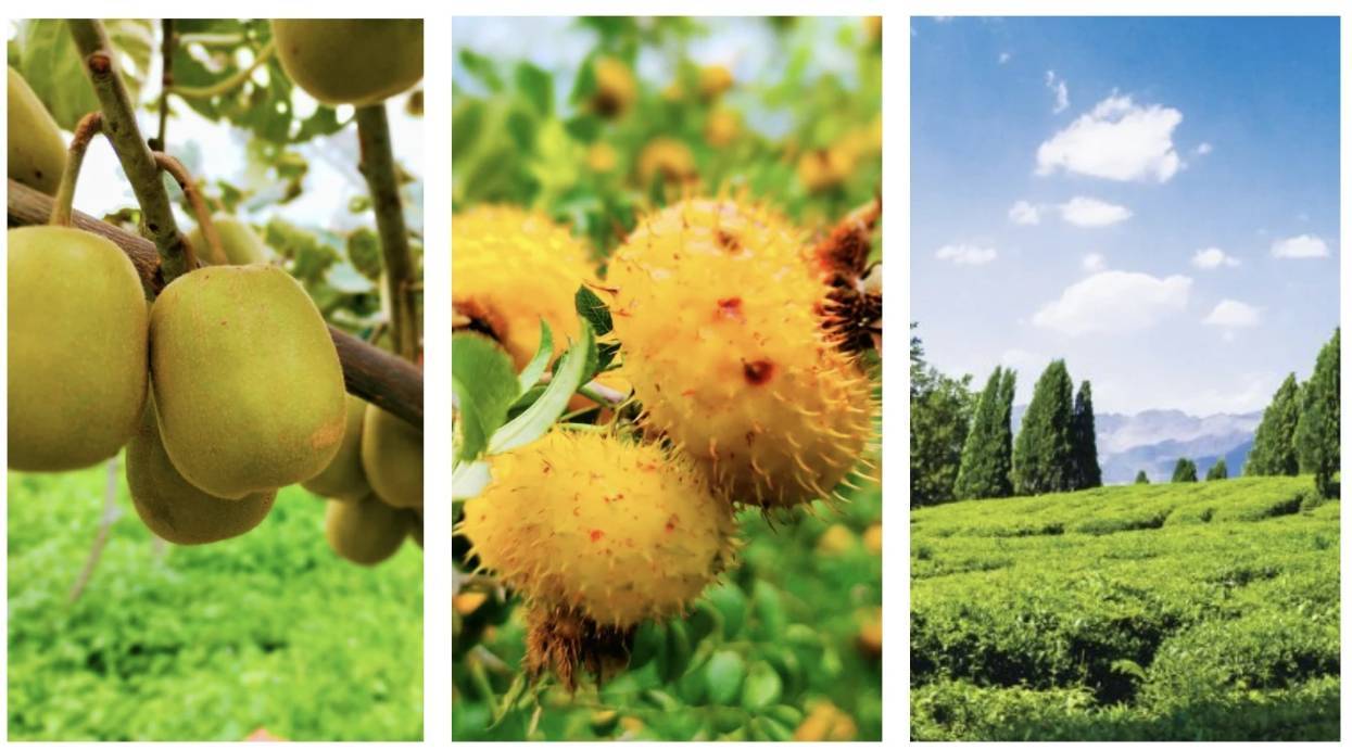 微信图片_20251209203019.png 微信图片_20251209203019.png