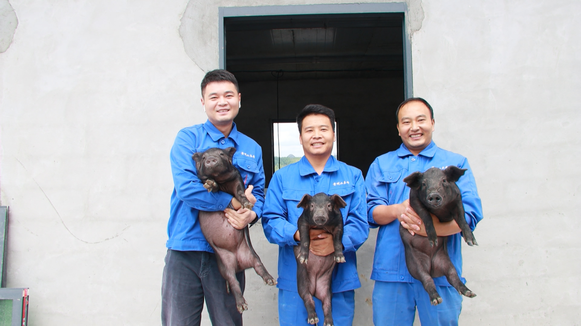 贵州新闻联播丨从深山食材到热销商品“贵州味道”何以香飘全国？