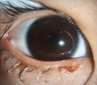 210e89d18eda1962d22879c9871da087_compress