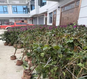 c214d12b2260d0fb09f20ab4596b315