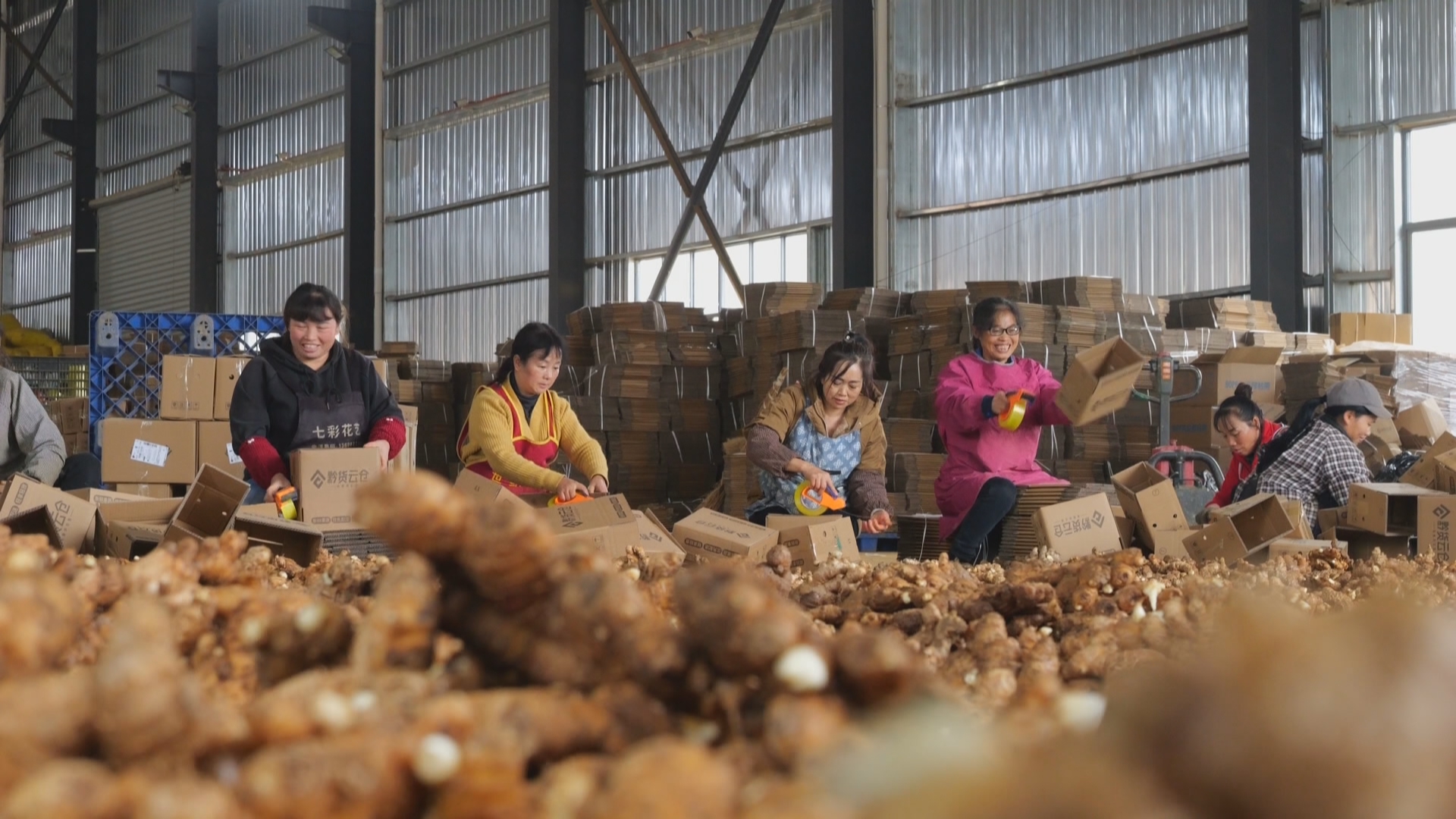 贵州新闻联播丨【高质量发展调研行】建仓织网推动物流降本提质增效 打通黔货出山“最初一公里”