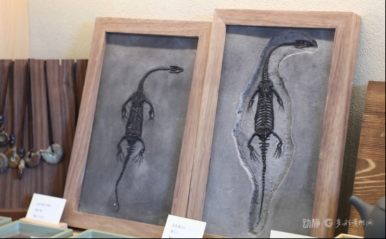 ScreenShot_2025-12-18_161807_923