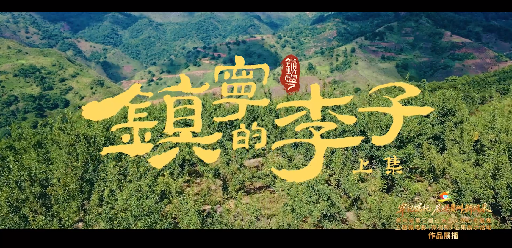 《镇宁的李子》丨贵州省第三届社会主义核心价值观主题微电影（微视频）征集展示活动作品