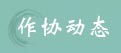 作协动态