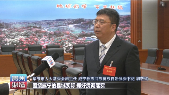 壮大实体胡敬斌