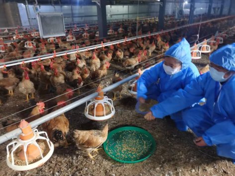 微信图片_20251111151132_612_79