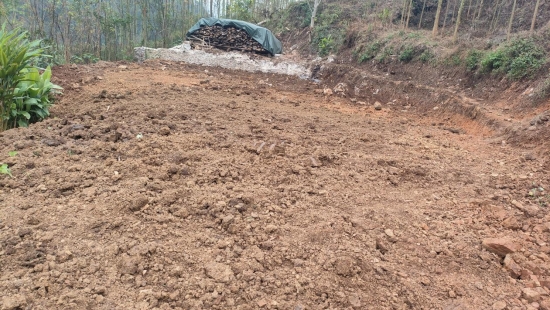 f2527728afcd0a4b20f6ea0c71b802d