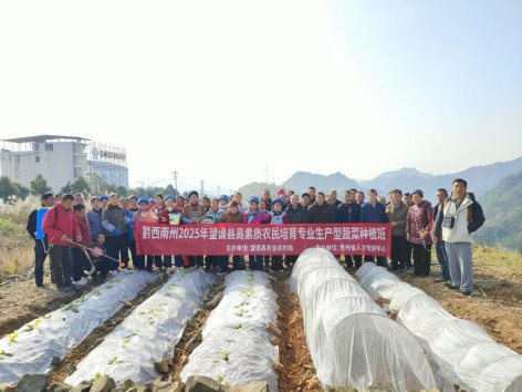 ddacf18a15cfb683e16fcdfbf9deec2c