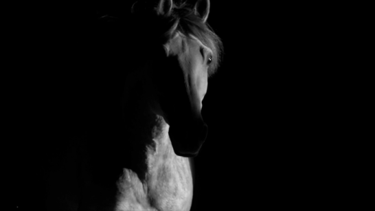 截屏2025-12-22 上午10.44.00