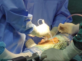 a3a968aa50167427d4a832f8d4959eaf