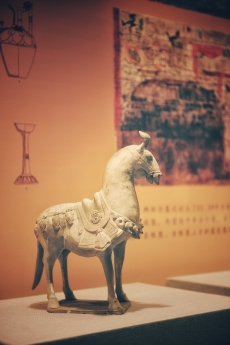 微信图片_20251211150448_565_66