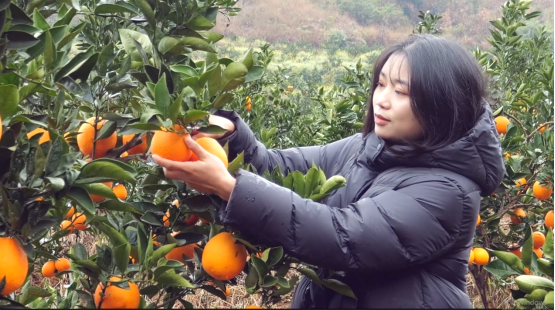 e84fba67e2545bed6fca474916f4e99c