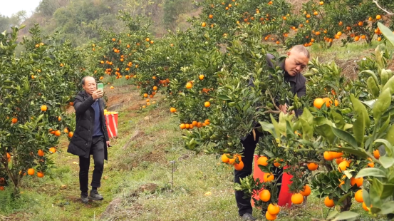 c1ec9d4a93238a8821797d390affb50a