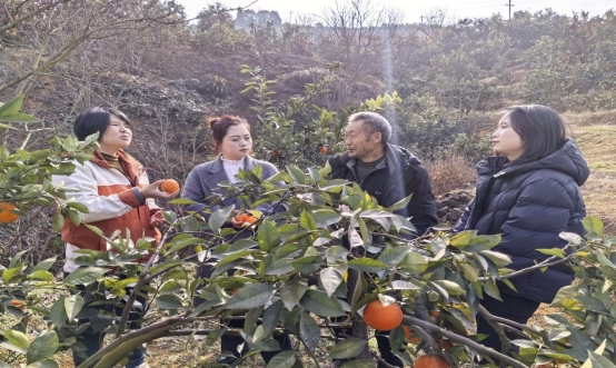 61091b639e1e448c485b5c7f60cf8841