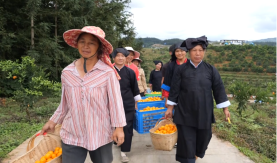 bb981f81037524de5275f2159657e7fd