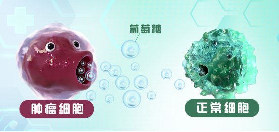 微信图片_20260128141600_758_4