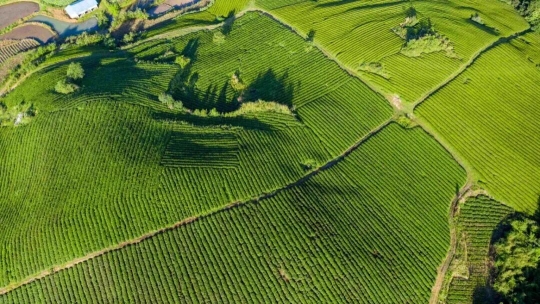 2b67497b265bf492d92e8c454d6b2e4c