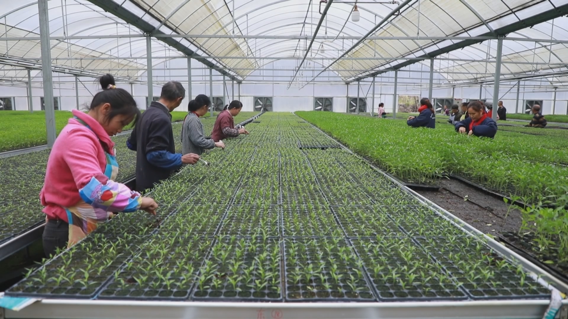 贵州新闻联播丨我省巩固脱贫成果后评估实现“九连好” 2025年一产增加值突破3000亿元