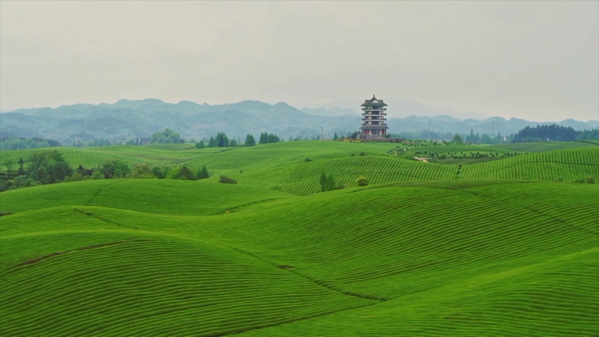 贵州新闻联播丨点“绿”成金有新招：空气能卖钱 野果变“金果”