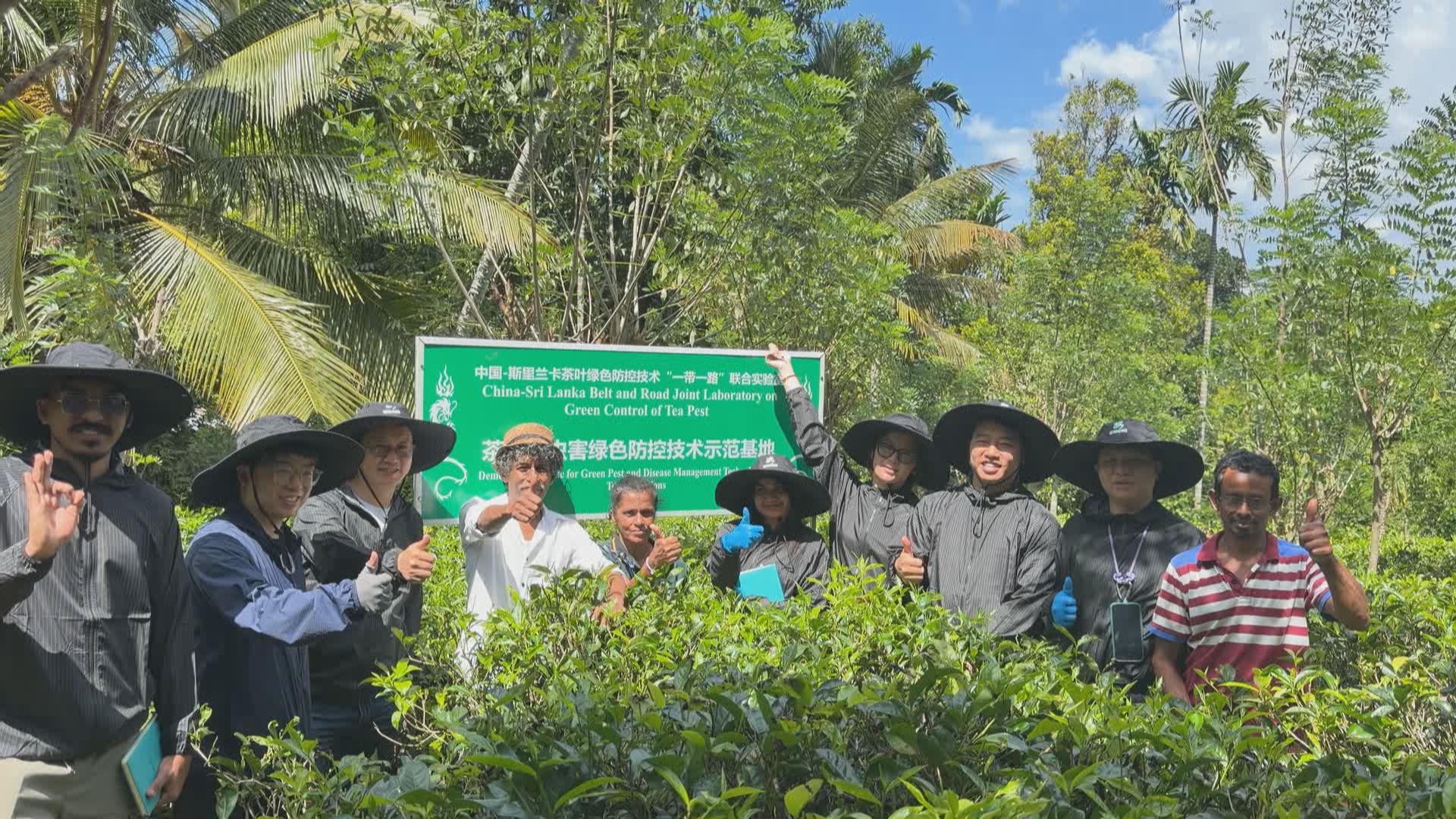 贵州新闻联播丨【新春走基层】我带着中国技术在斯里兰卡种红茶