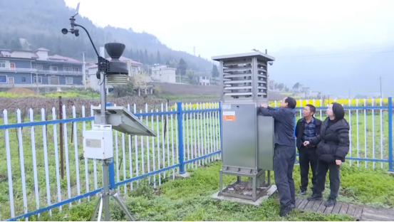 农技人员正在查看农作物病虫害疫情监测智能系统正全天候运行