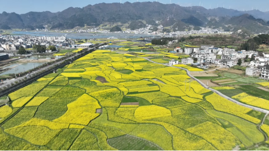 全国重点产油大县毕节市金沙县