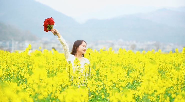 现在出发！共赴黔春之约丨不用远行！从江这片金色花海已刷屏