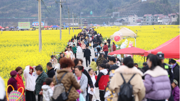 3e82b5711db1902c7745a019a0426153