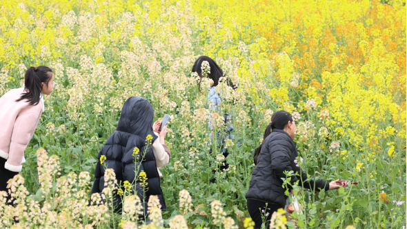 9afcc800d8ebb98024b62f7febd08bfb