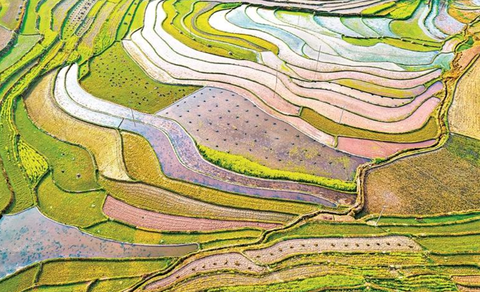 央媒看贵州丨光明日报图片报道：蓄水备耕正当时 梯田如镜映春色