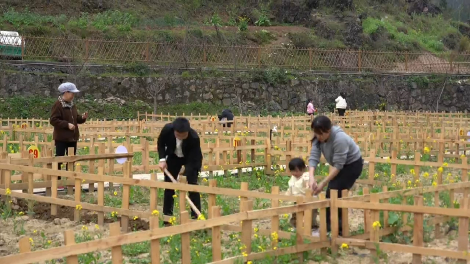 现实版“QQ农场”上线，来贵州这个地方可以当农场主