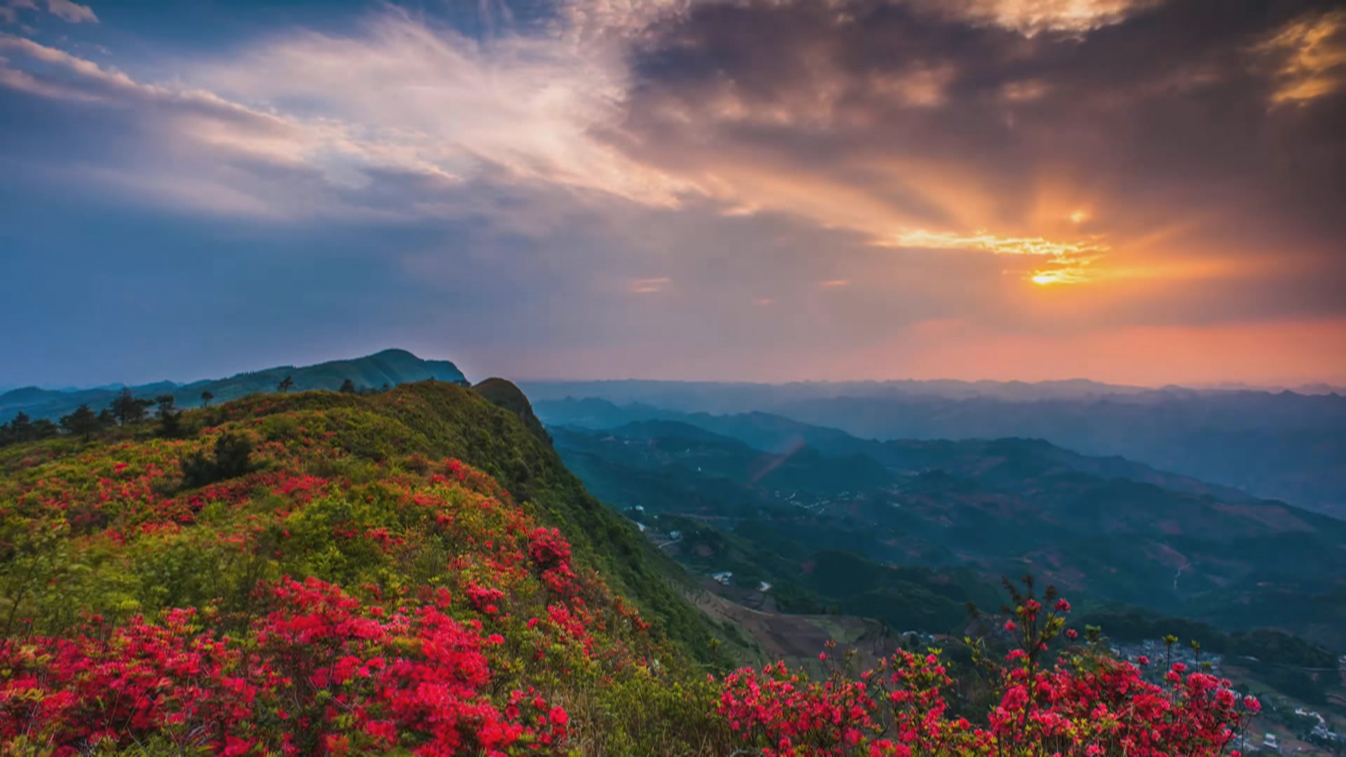 贵州新闻联播丨【殷殷嘱托润黔山】春风过处暖群山 拔节生长展新采