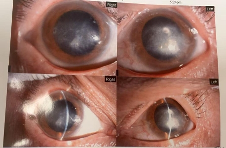 1daec3d2-afcb-4356-bf2e-e42039abcb97