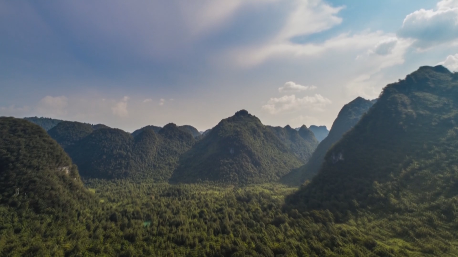 贵州新闻联播丨贵州省发布2026年第1号总林长令 ——关于进一步加强森林草原防灭火和鸟类、兰花、苏铁等野生动植物保护的令