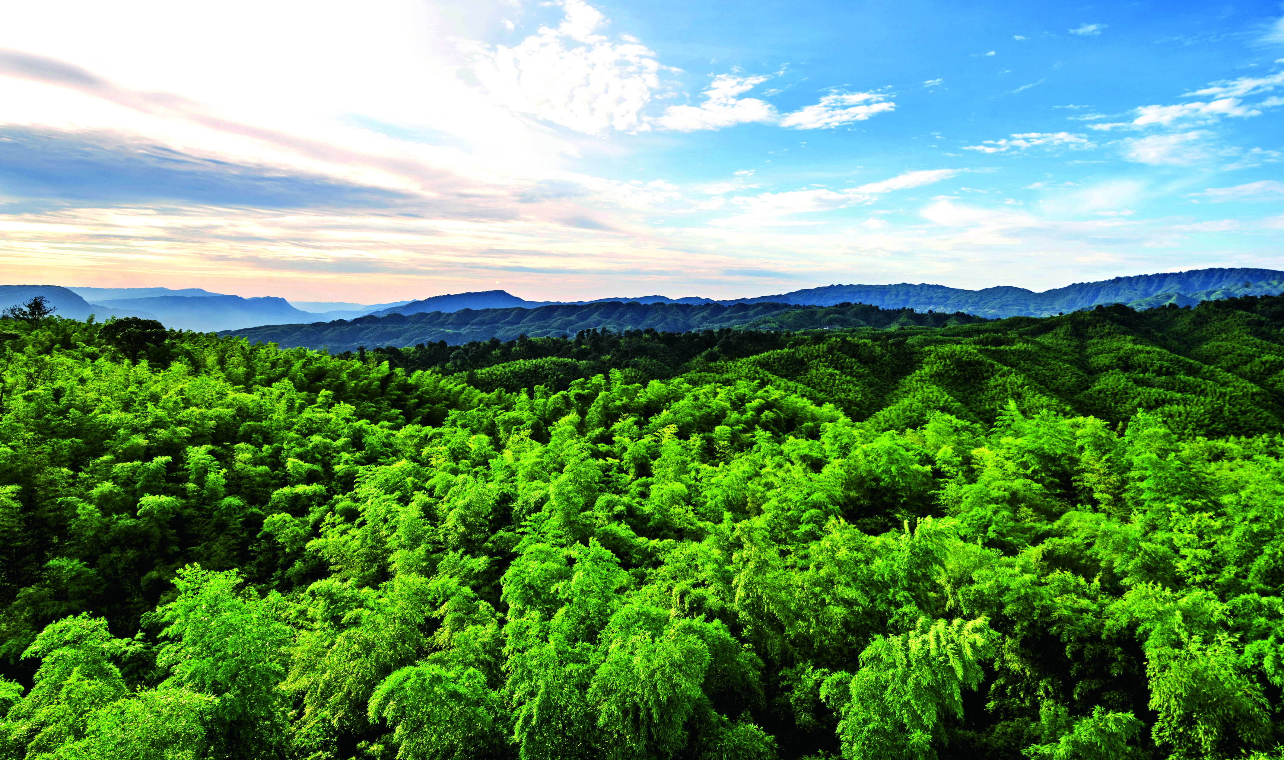 从“来了就走”到“住下来”：旅居凭什么选择贵州？