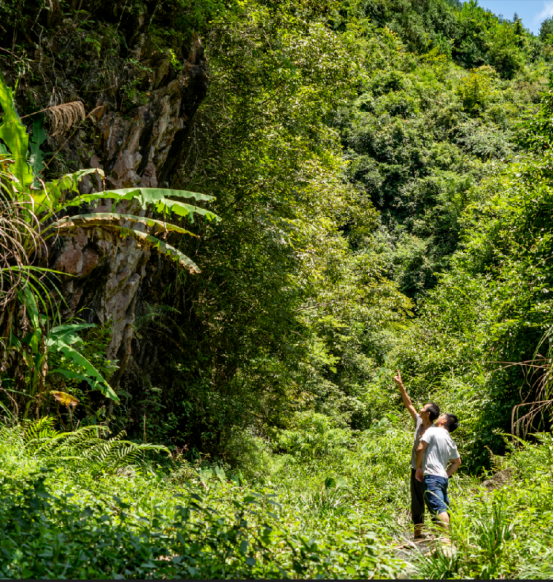 困牛山虎井沟红军跳崖处。吴剑 摄