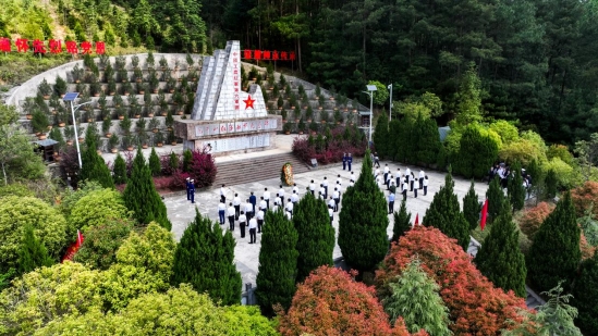 8744a9fa740440989321de6867e89945