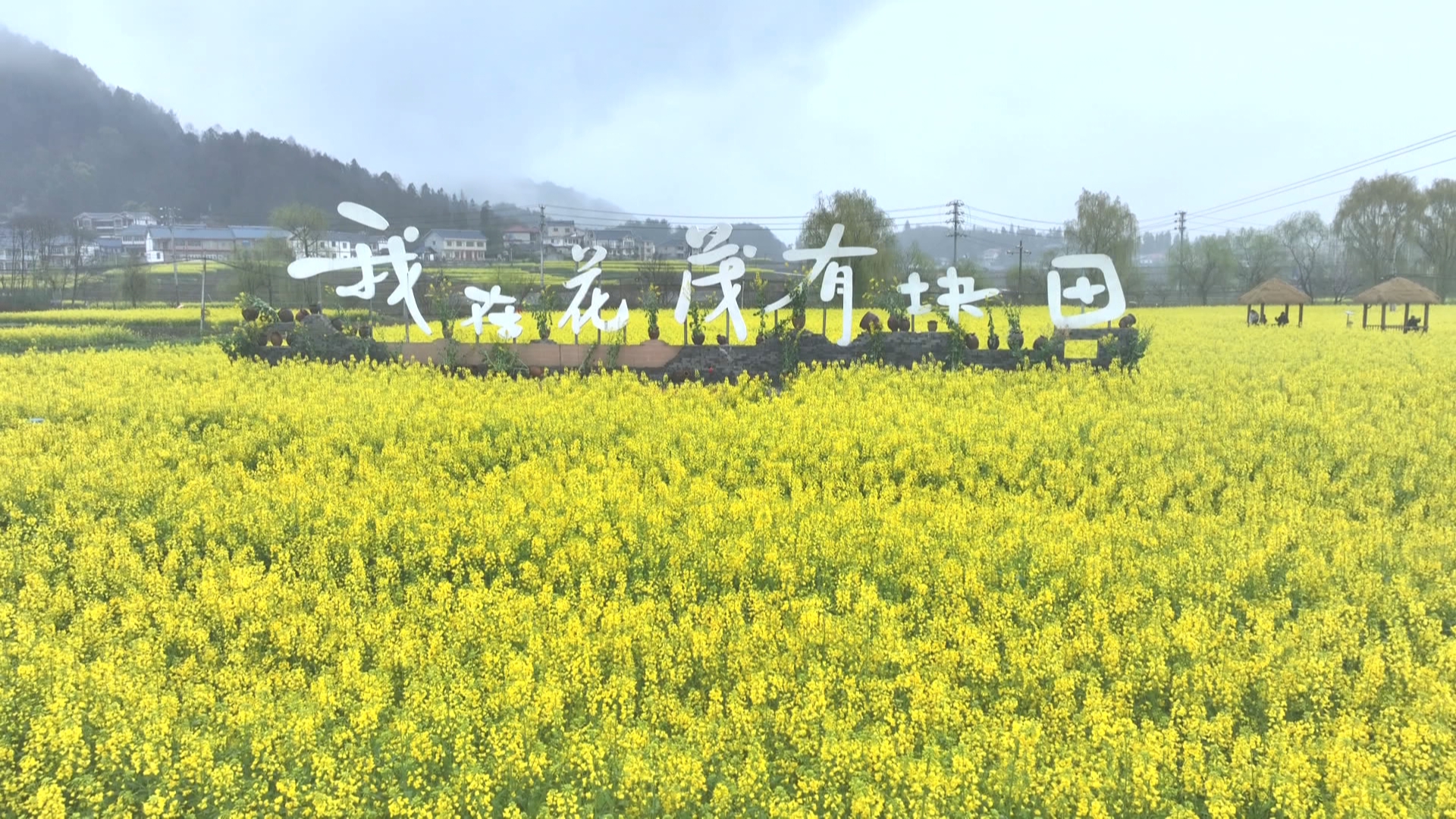 贵州新闻联播丨非遗土陶串起花茂文旅 浓了乡愁 展了笑脸