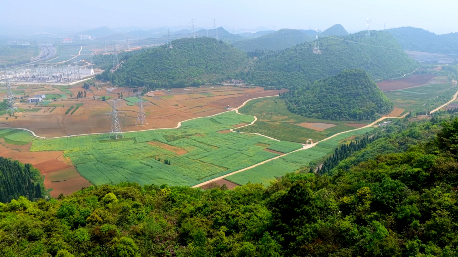 贵州新闻联播丨攥紧农业“芯片” 崖州湾国家实验室贵阳粮油作物创新平台揭牌